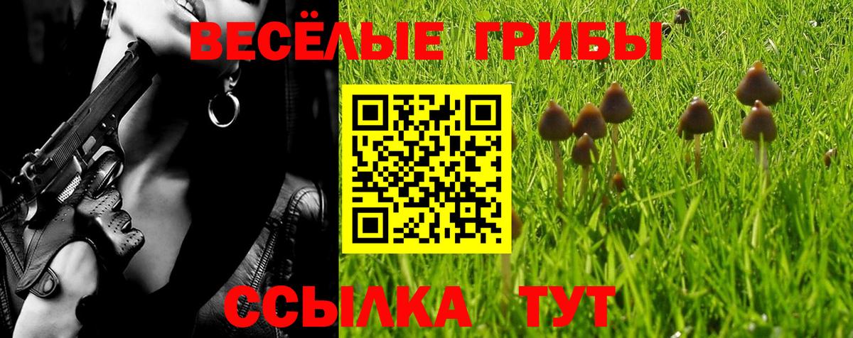 Псилоцибиновые грибы мухоморы Отрадное